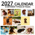 2027 Dachshund Wall Calendar | 12 Month Cute Wiener Dog Calendar, Perfect Gift for Dachshund Lovers