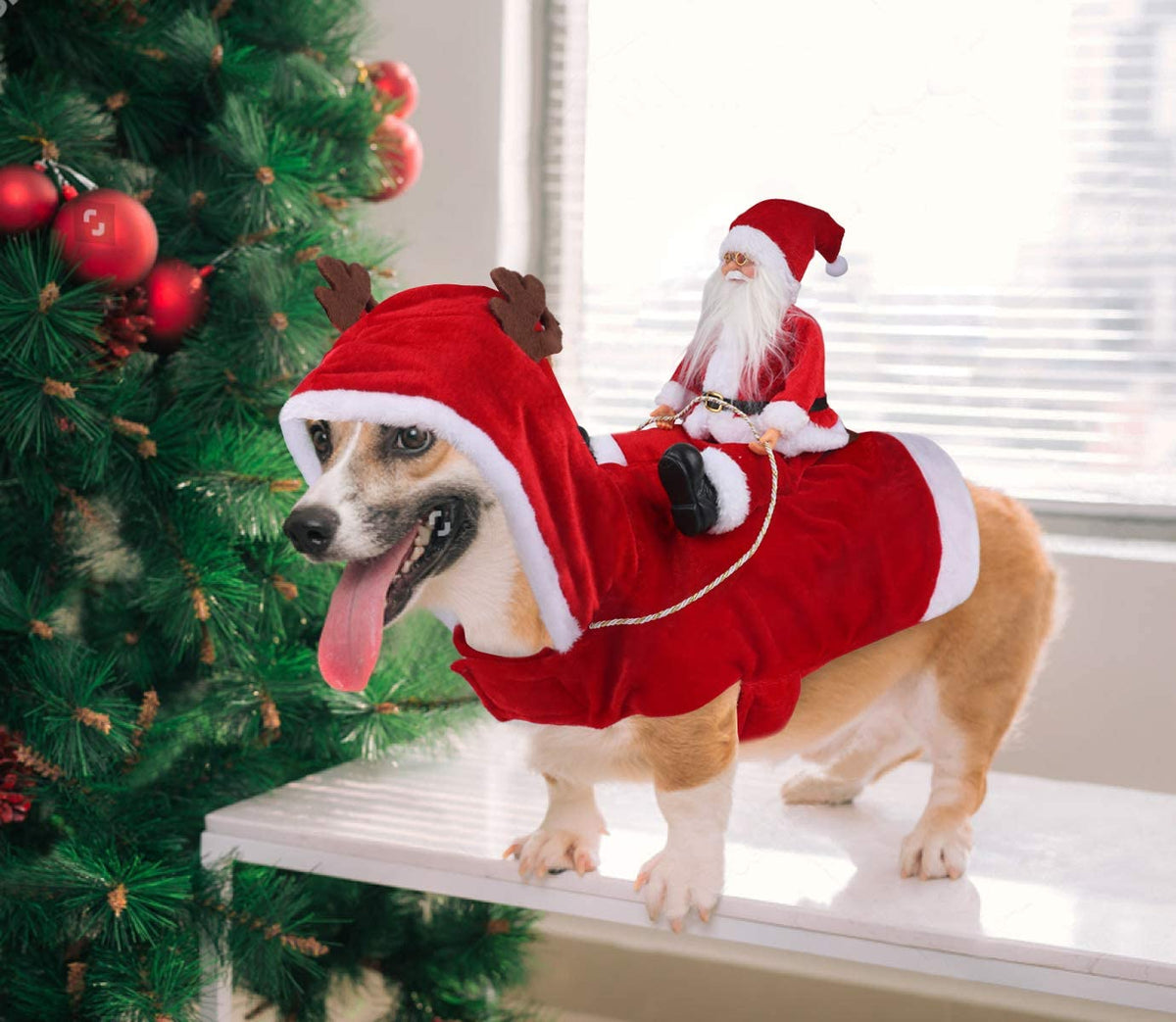 Santa Dog Costume-Christmas Pet Coat