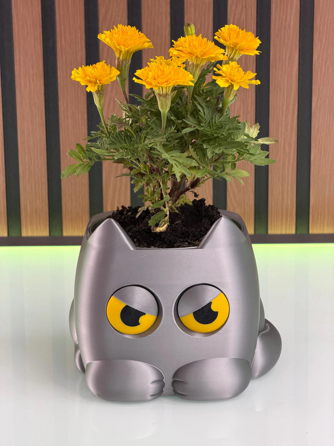 Grumpy Cat Plant Pot | 3D Printed weight Sensing Planter — Eyes Change When You Water It | Funny Cat Gift for Plants Lover