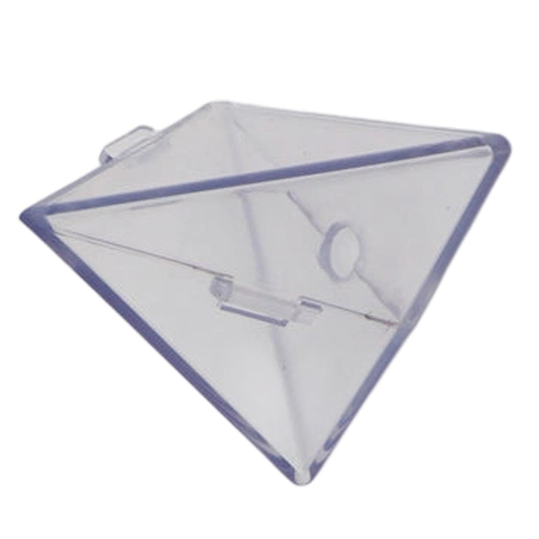 🍐 🍎 Fruit Shaped Mold for Tomato 🍅 Triangular and Cubic Clear Mould