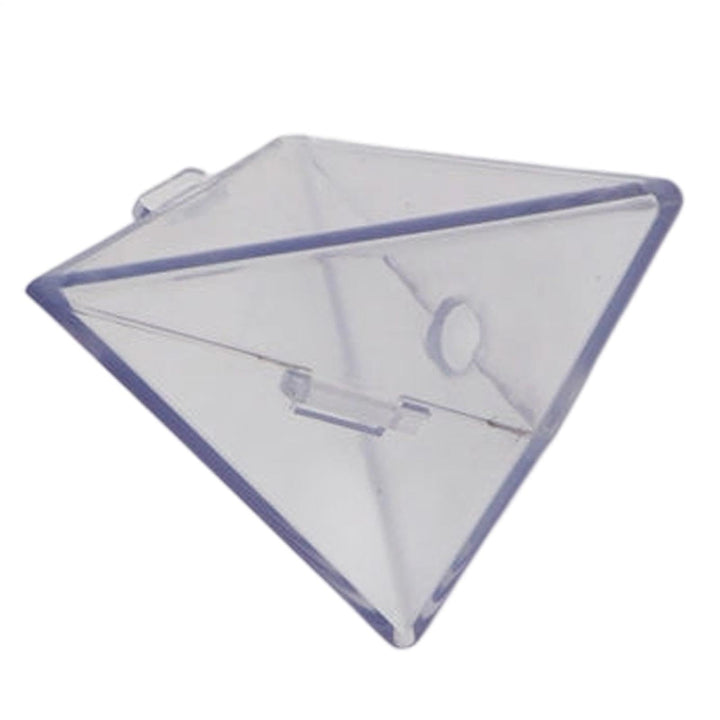 🍐 🍎 Fruit Shaped Mold for Tomato 🍅 Triangular and Cubic Clear Mould