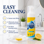 4-in-1 Multi-Enzyme Foam Cleaner
