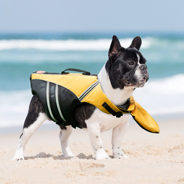 🐶 🐶 Dog Life Jacket ❤️ Reflective Dog Life Vest with Removable Neck Float & High Buoyancy for Swimming and Boating 🔥 🔥