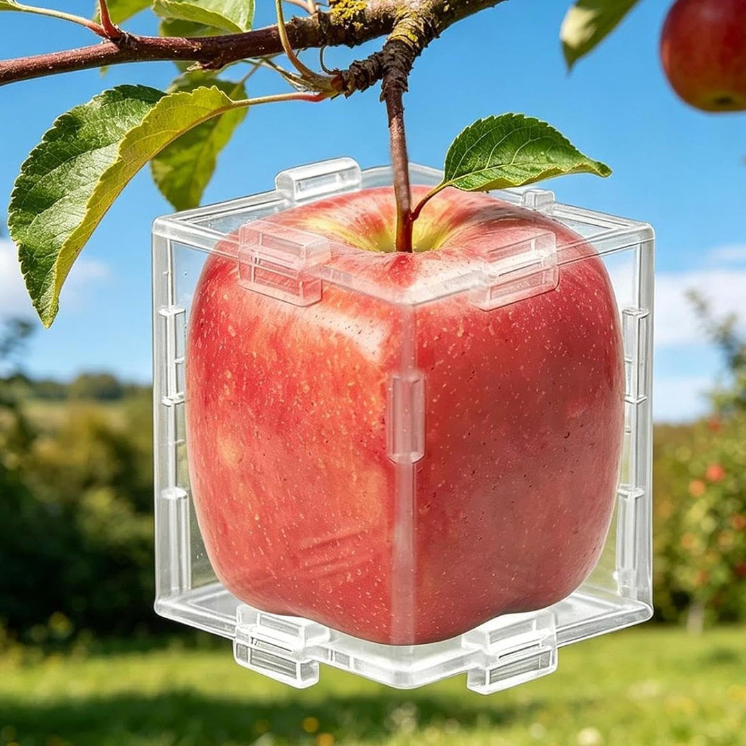 🍐 🍎 Fruit Shaped Mold for Tomato 🍅 Triangular and Cubic Clear Mould