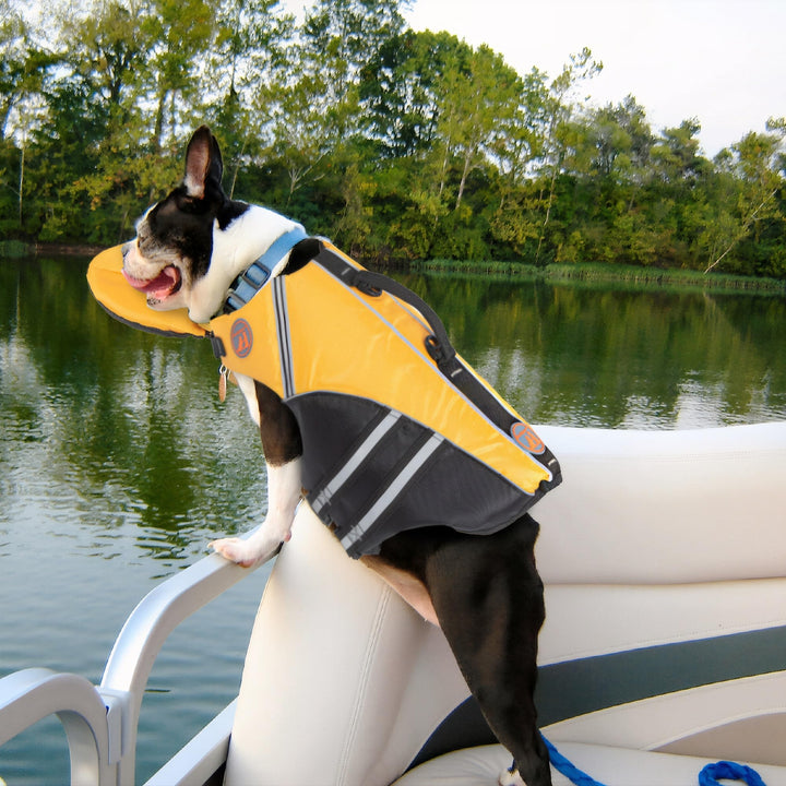 🐶 🐶 Dog Life Jacket ❤️ Reflective Dog Life Vest with Removable Neck Float & High Buoyancy for Swimming and Boating 🔥 🔥