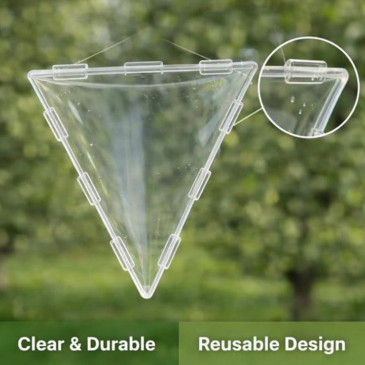 🍐 🍎 Fruit Shaped Mold for Tomato 🍅 Triangular and Cubic Clear Mould