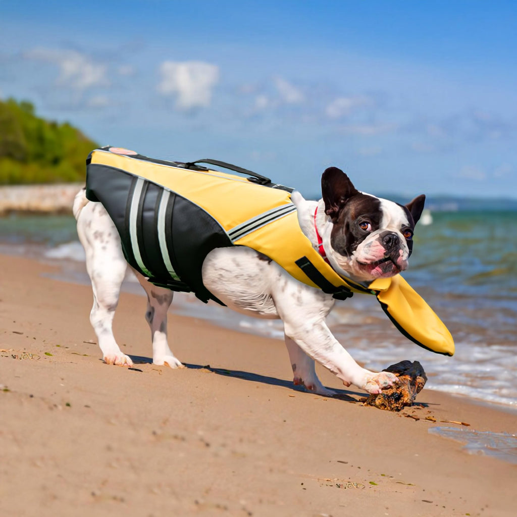 🐶 🐶 Dog Life Jacket ❤️ Reflective Dog Life Vest with Removable Neck Float & High Buoyancy for Swimming and Boating 🔥 🔥