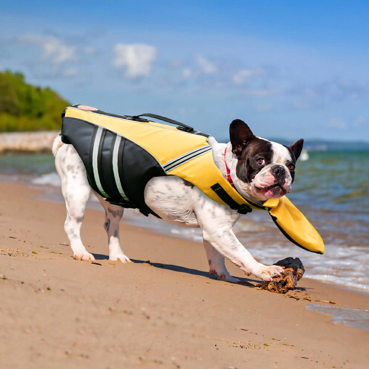 🐶 🐶 Dog Life Jacket ❤️ Reflective Dog Life Vest with Removable Neck Float & High Buoyancy for Swimming and Boating 🔥 🔥